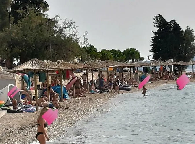 Neja